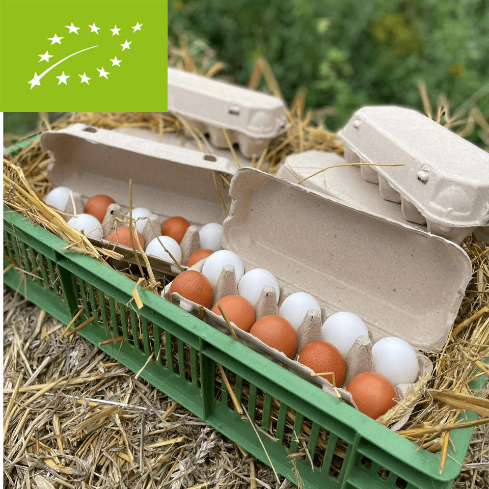 Jajka ekologiczne 40 sztuk